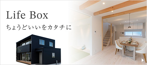 lifebox